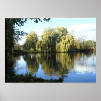 Weide am See weinend