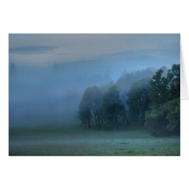 Weide Gottes, Misty Forest & Field Nature Szene 2 (Vorderseite (Horizontal))
