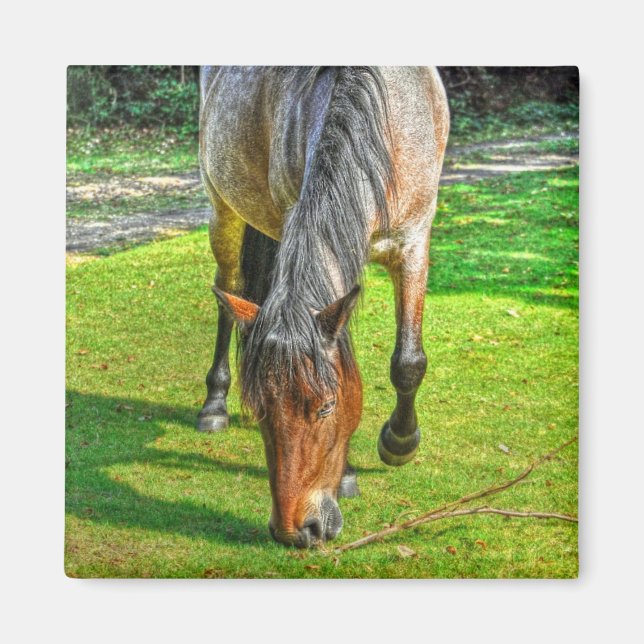 Weide New Forest Pony Wildlife Magnet (Vorne)