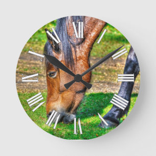 Weidebucht Pferdekiefer Pferdefreunde Foto Runde Wanduhr