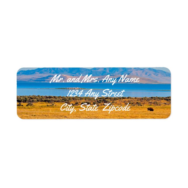 Weidebuffet, großer Salzsee, Utah (Vorne)