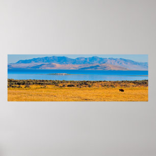 Weidebuffet, großer Salzsee, Utah Poster
