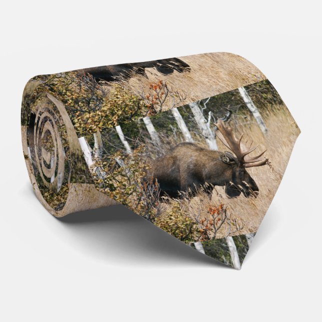 Weidebulle Krawatte (Gerollt)