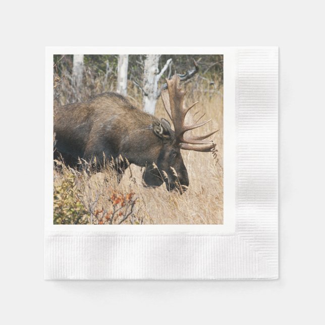 Weidegang Serviette (Vorderseite)