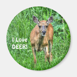 Weidehirsche und Graswiesen für Outdoor-Liebhaber Magnet