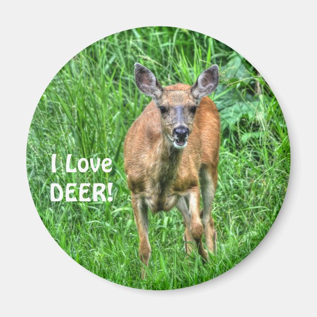 Weidehirsche und Graswiesen für Outdoor-Liebhaber Magnet (Vorne)