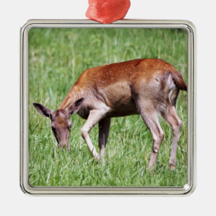 Weidehirse Silbernes Ornament