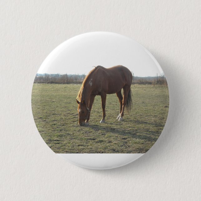 Weidekastanie Button (Vorderseite)