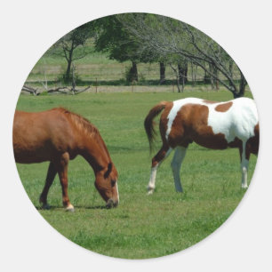 Weidekastanie und Pinto Runder Aufkleber