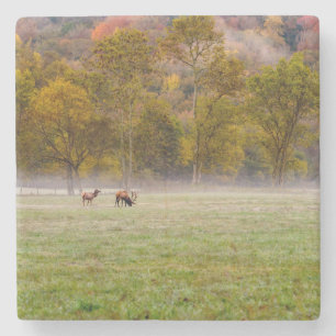 Weideleich Couple Stone Untersetzer