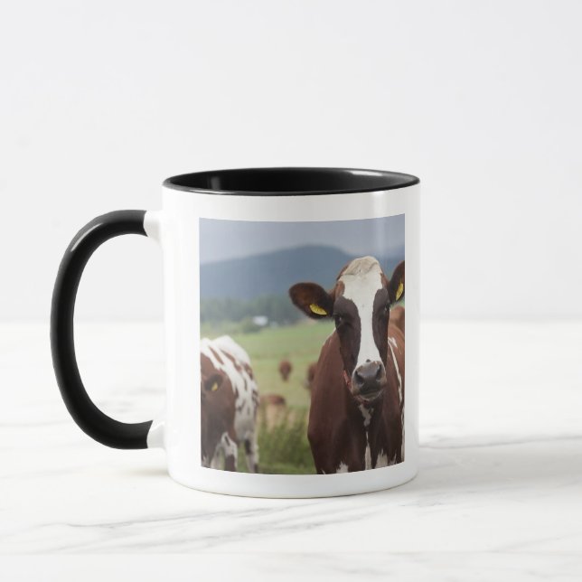 Weiden lassen der Kühe Tasse (Links)