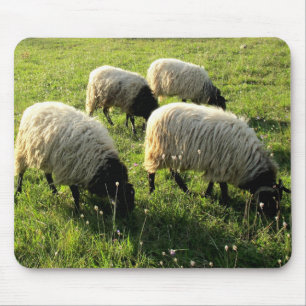 Weiden lassen der Schafe Mousepad
