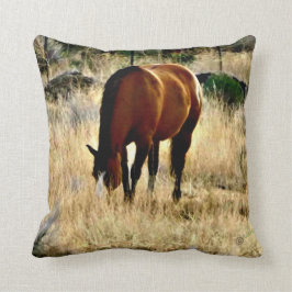 Weiden lassen des Pferdekissens Kissen