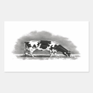 Weiden lassende Holstein-Kuh: Rechteckiger Aufkleber