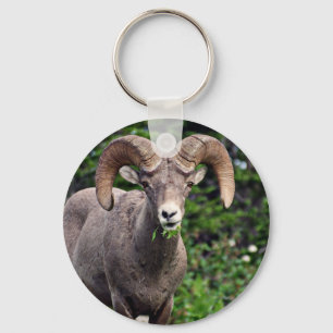 Weiden lassendes RAM Schlüsselanhänger