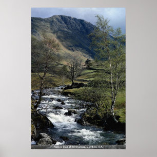 Weiden Sie Kessel bei niedrigem Hartsop, Cumbria, Poster