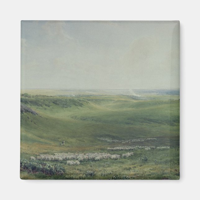 Weiden, Sussex Magnet (Vorne)