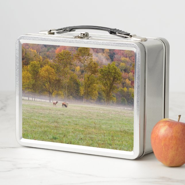 Weidenelch - Lunchbox (Beispiel)