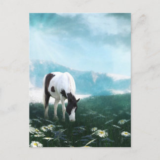 Weidepferd Postkarte