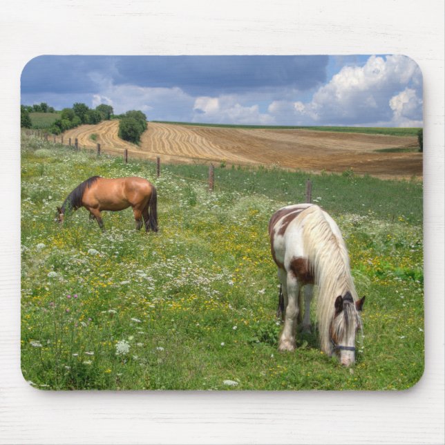 Weidepferde Mousepad (Vorne)