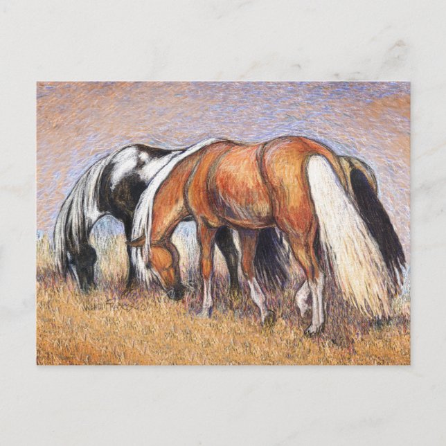 Weidepferde Postkarte (Vorderseite)