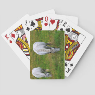 Weidepferde Spielkarten