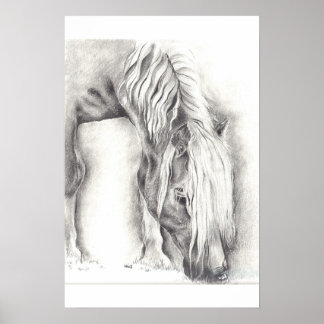 Weidepony Poster