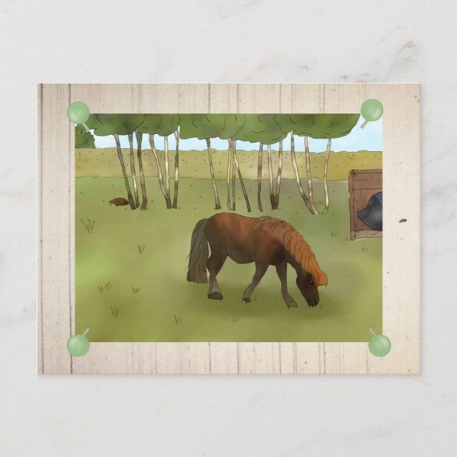 Weidepony Postkarte (Vorderseite)