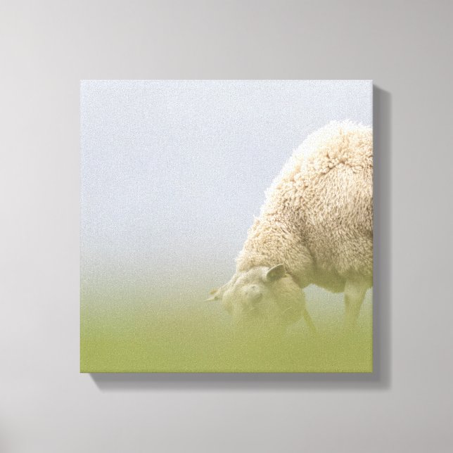 Weideschaf-Natur-Foto Leinwanddruck (Vorderseite)