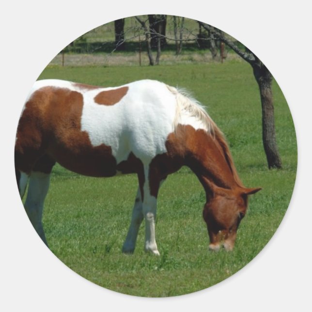 Weidestangen Runder Aufkleber (Vorderseite)
