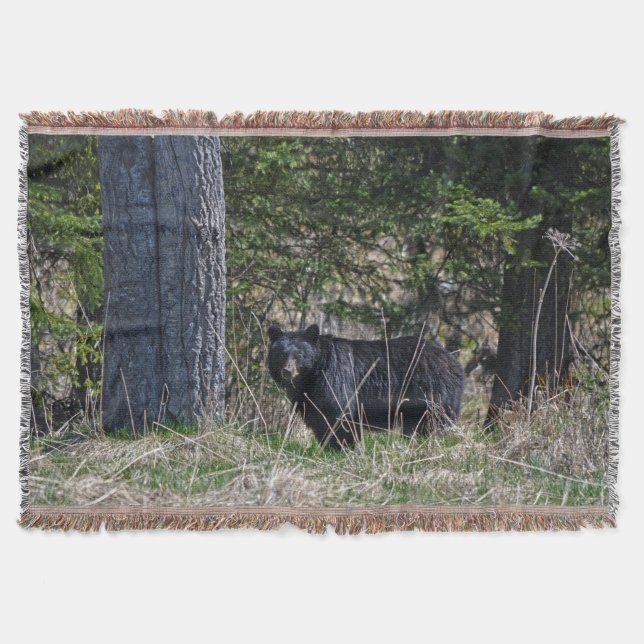 Weidewild Schwarzer Bär Wildlife Foto Decke (Vorderseite)