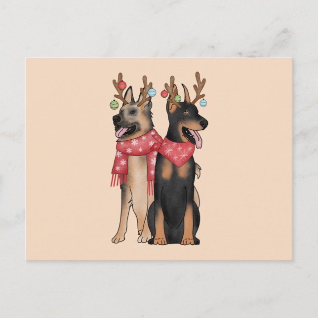 Weihnacht Hunde christmas Doberham German Shepherd Postkarte (Vorderseite)