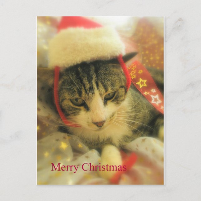 Weihnachten (Vorderseite)