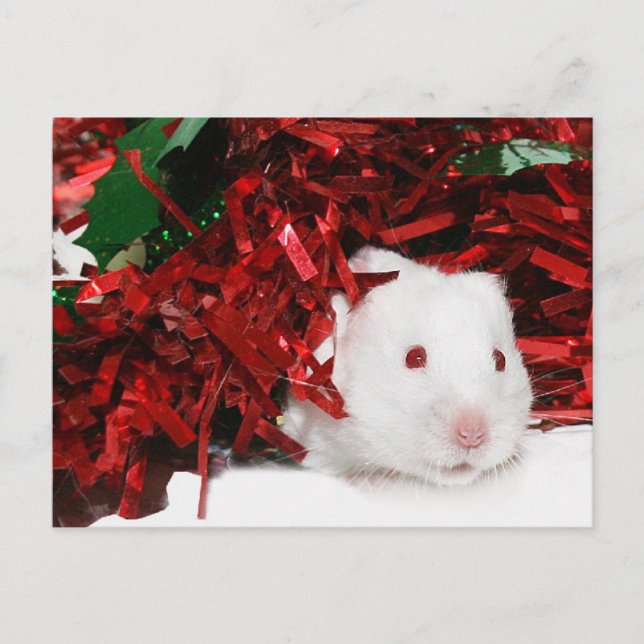 Weihnachten (Vorderseite)