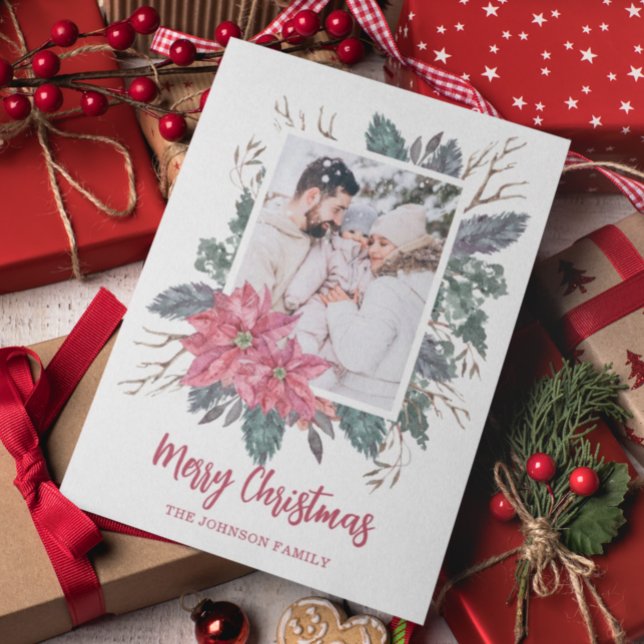 Weihnachten 1 Foto Wasserfarbe poinsettia botanisc (Von Creator hochgeladen)