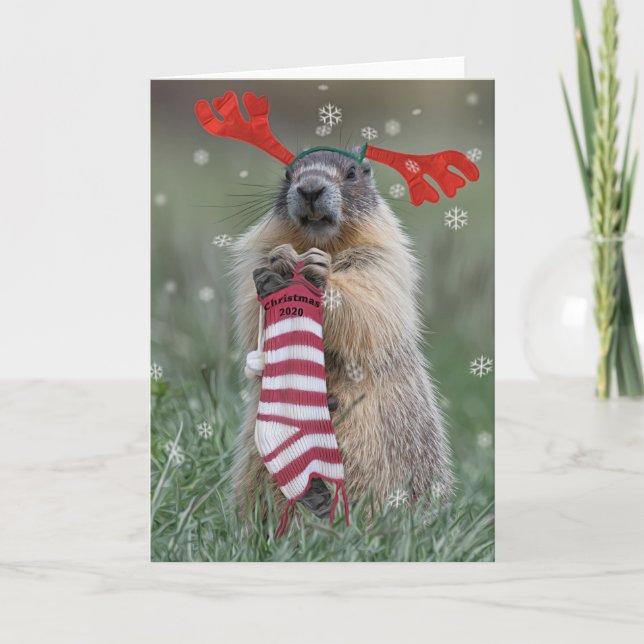 Weihnachten 2020 karte (Vorderseite)