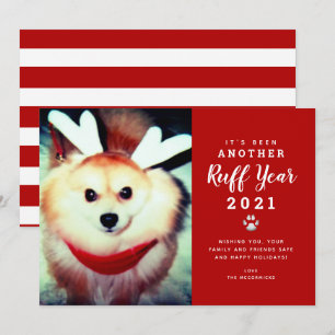 Weihnachten 2021 Red Ruff Year Hund Foto