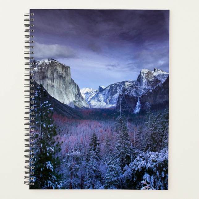 Weihnachten 94 planer (Vorderseite)
