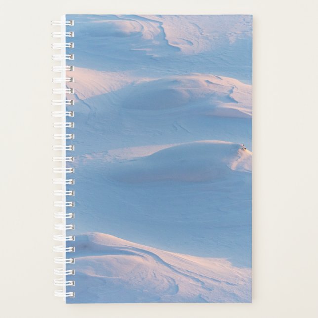 Weihnachten 98 planer (Vorderseite)