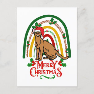 Weihnachten Abessinier Frohe Weihnachtskatze