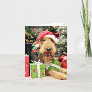 Weihnachten - Airedale - Kiehn