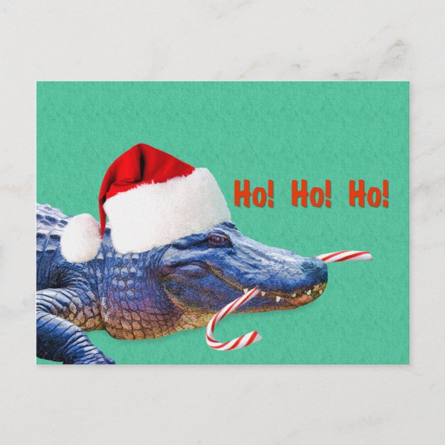 Weihnachten, Alligator mit Weihnachtsmannmütze Feiertagspostkarte (Vorderseite)