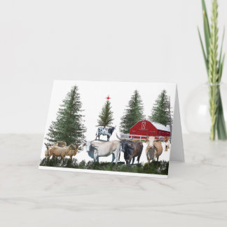 Weihnachten auf dem Bauernhof