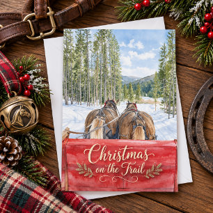 Weihnachten auf dem Trail Reitsport-Winterurlaub