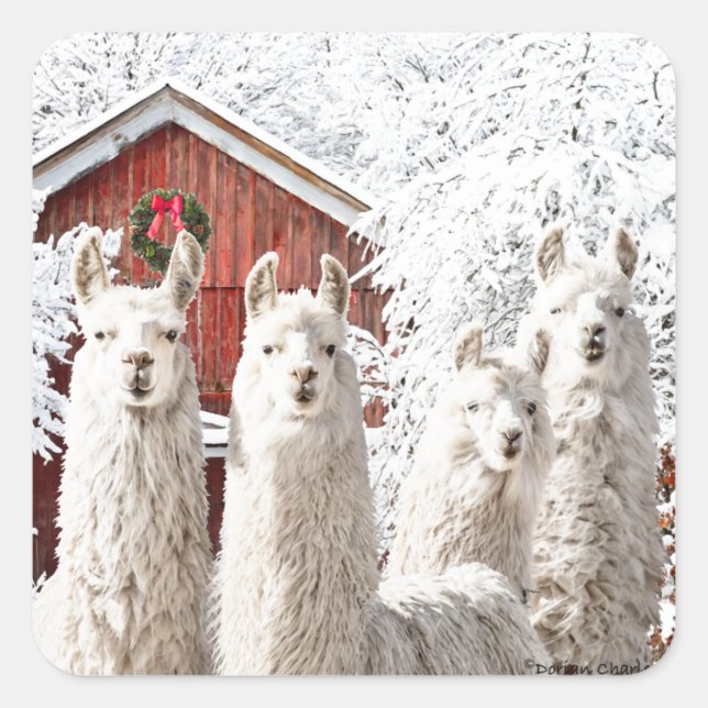 "Weihnachten!" Aufkleber (Vorderseite)