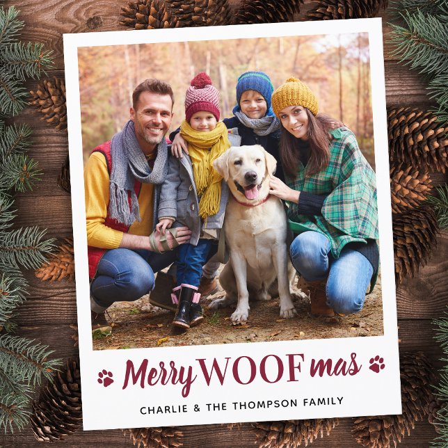 Weihnachten aus dem einfachen Foto für Haustiere (Von Creator hochgeladen)