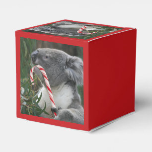Weihnachten Australien Koala Candy Cane Favor Box Geschenkschachtel
