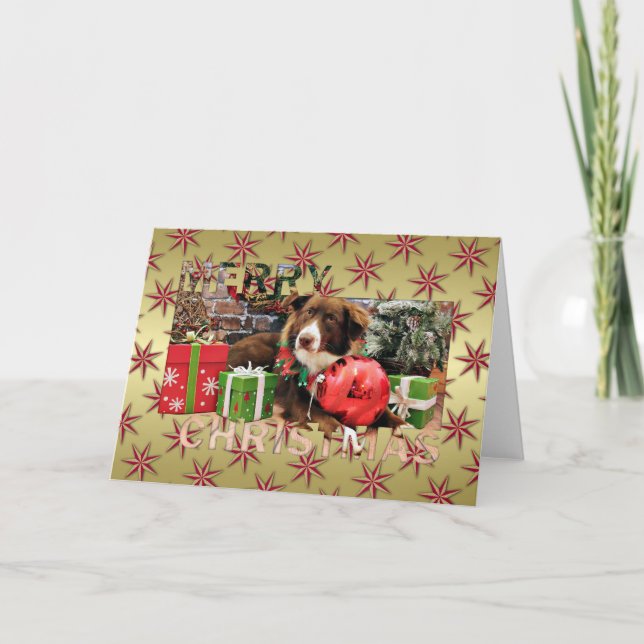 Weihnachten - Australischer Schäferhund - Molly (Vorderseite)