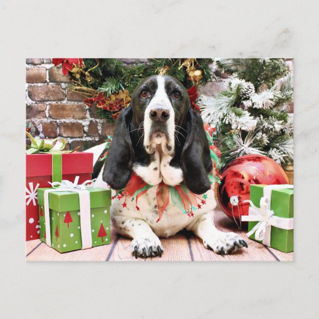 Weihnachten - Basset Hound - Jasmine (Vorderseite)