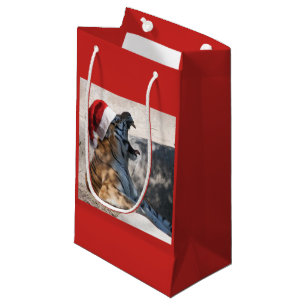 Weihnachten Bengalischer Tiger mit einem Weihnacht Kleine Geschenktüte